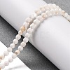 Natural Howlite Beads Strands G-C025-02B-09-2