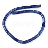 Natural Blue Aventurine Beads Strands G-Q159-A04-01-3