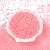 6/0 Transparent Glass Seed Beads SEED-F003-03A-15-1