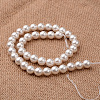 Polished Round Grade A Shell Pearl Bead Strands BSHE-M027-10mm-28-2