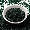 MIYUKI Round Rocailles Beads X-SEED-G008-RR0156F-2