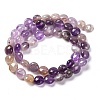 Natural Amethyst Beads Strands G-T047-A04-01-3