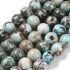 Natural Larimar Beads Strands G-P524-A02-05-1