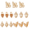 SUPERFINDINGS 15Pcs 5 Style Brass Charms KK-FH0006-46-1