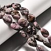 Natural Rhodonite Beads Strands G-P561-B10-01-2