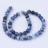 Natural Sodalite Beads Strands G-Q462-10mm-07-2