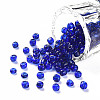 (Repacking Service Available) Glass Seed Beads SEED-C013-4mm-8-1