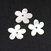 Natural White Shell Beads SSHEL-I008-03-2