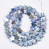 Freshwater Shell Beads Strands X-SHEL-N026-08E-2