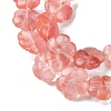Cherry Quartz Glass Beads Strands G-H023-B10-01-4