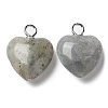 Natural Labradorite Pendants G-E603-01P-08-2