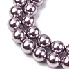 Electroplated Shell Pearl Beads Strands BSHE-G041-10mm-02-3