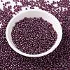 MIYUKI Round Rocailles Beads SEED-X0055-RR0313-1