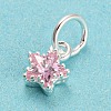 925 Sterling Silver Charms STER-G035-01C-04-2