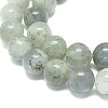 Natural Labradorite Beads Strands G-G828-01-8mm-3