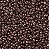 6/0 Glass Seed Beads X1-SEED-L011-08A-08-3