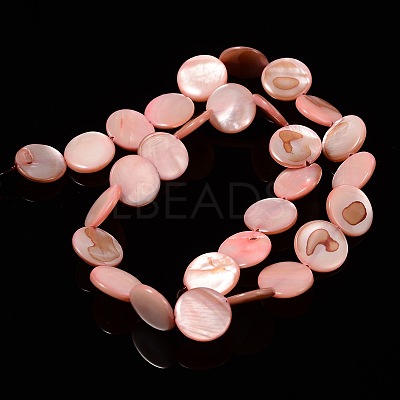 Natural Shell Beads Strands PBB251Y-6-1