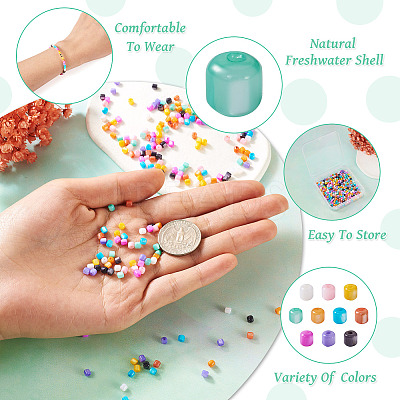 300Pcs 10 Colors Natural Freshwater Shell Beads SHEL-TA0001-06-1