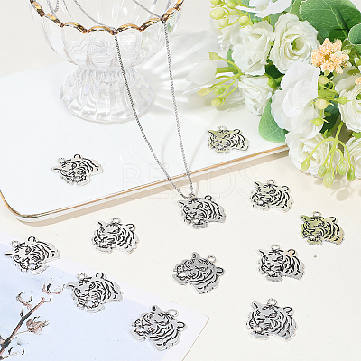 Tibetan Style Alloy Pendanrs FIND-WH0199-392AS-1