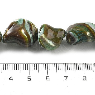 Dyed Natural Trochus Shell Beads Strands BSHE-Z006-02D-1