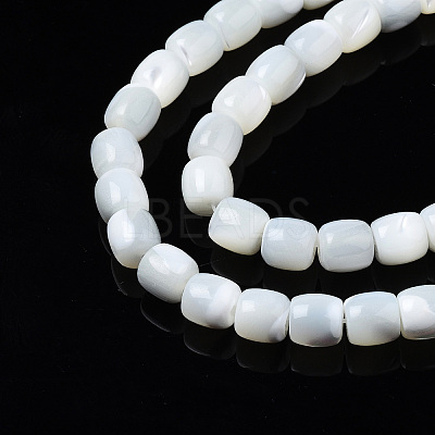 Natural Trochid Shell/Trochus Shell Beads Strands X-SSHEL-N034-121-B01-1