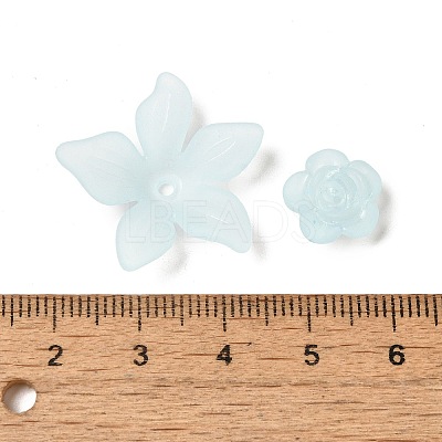 Frosted Transparent Acrylic Beads OACR-U006-03F-1