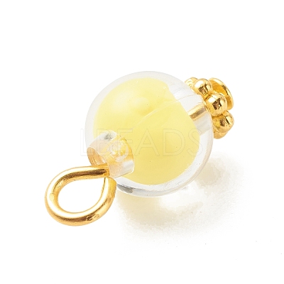 Transparent Acrylic Pendants PALLOY-JF01834-08-1