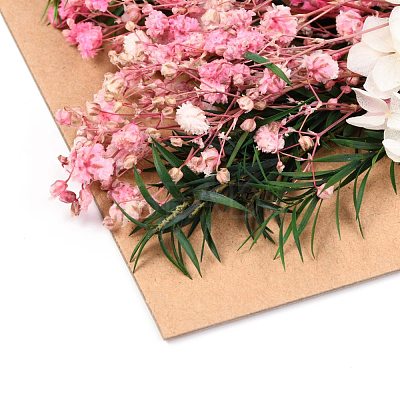 Dried Flower DIY-B018-08-1