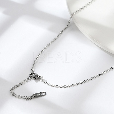 Non-Tarnish 304 Stainless Steel Cable Chain Necklace for Men Women NJEW-K245-014B-1