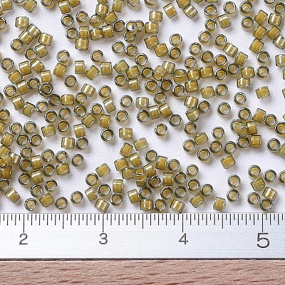 MIYUKI Delica Beads LS-X-SEED-J020-DB2046-1
