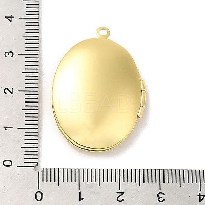 Rack Plating Brass Locket Pendants KK-K277-03G-1