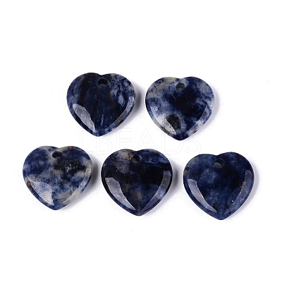 Natural Sodalite Pendants G-Q601-29B-1