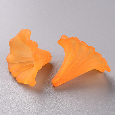 Transparent Acrylic Beads BSF796-C19-1