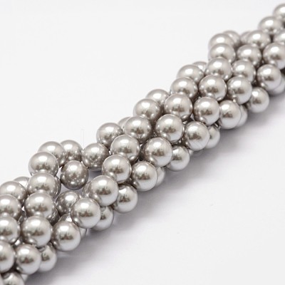 Shell Pearl Beads Strands X-BSHE-L026-05-6mm-1