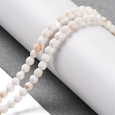 Natural Howlite Beads Strands G-C025-02B-09-1