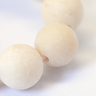 Frosted Natural Fossil Round Bead Strands X-G-E334-8mm-22-1