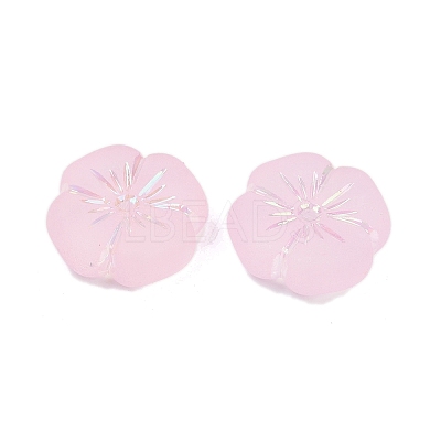 Frosted Transparent Acrylic Beads OACR-P029-19B-05-1