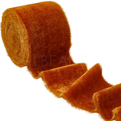 3 Yards Nylon Ribbon with Raw Edge SRIB-WH20020-024B-1