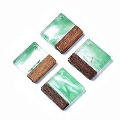 Transparent Resin & Walnut Wood Pendants RESI-T035-31A-1
