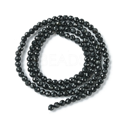 Natural Black Tourmaline Beads Strands LS-G-F748-Y01-02-1