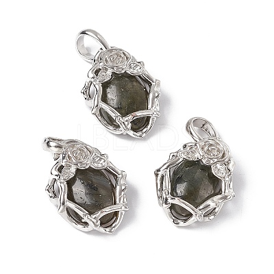 Natural Labradorite Pendants G-P484-03P-06-1