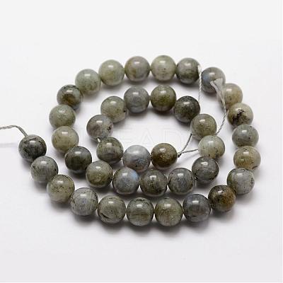 Natural Labradorite Bead Strands G-O155-05B-8mm-1