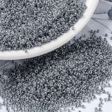 MIYUKI Round Rocailles Beads X-SEED-G009-RR0240-1