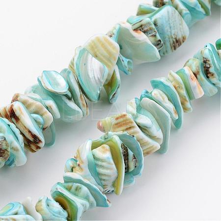 Natural Shell Bead Strands BSHE-P010-04-1