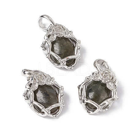 Natural Labradorite Pendants G-P484-03P-06-1