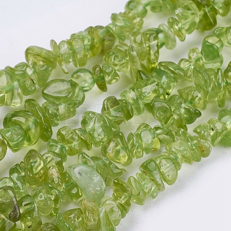 Natural Peridot Beads Strands X-G-J119-04-1