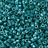Baking Paint Glass Seed Beads X-SEED-S042-15A-17-3