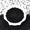 FGB 11/0 Grade A Glass Seed Beads SEED-S030-1014-2