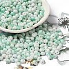 Baking Paint Glass Seed Beads SEED-F006-01A-08-1