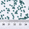 Frosted Opaque Glass Seed Beads SEED-S042-06A-01-4